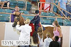 13yn_16764 proof