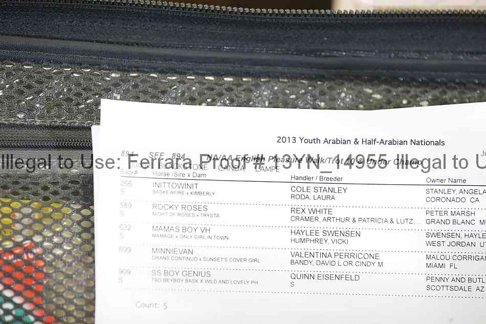 Proof 13yn_14955