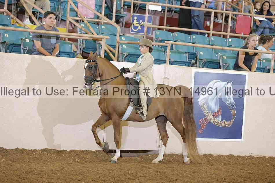 Proof 13yn_14961