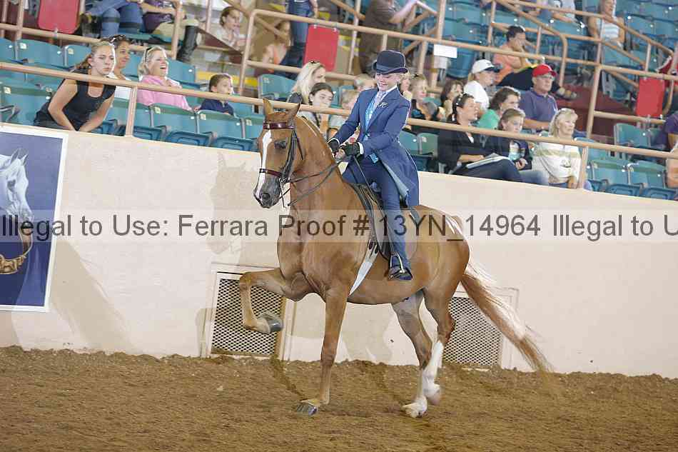 Proof 13yn_14964