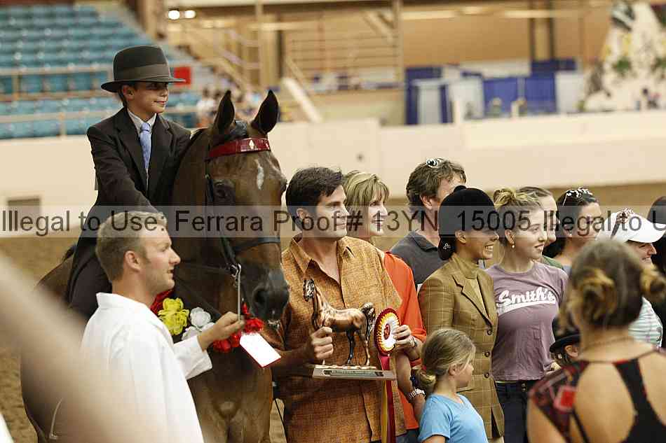 Proof 13yn_15005