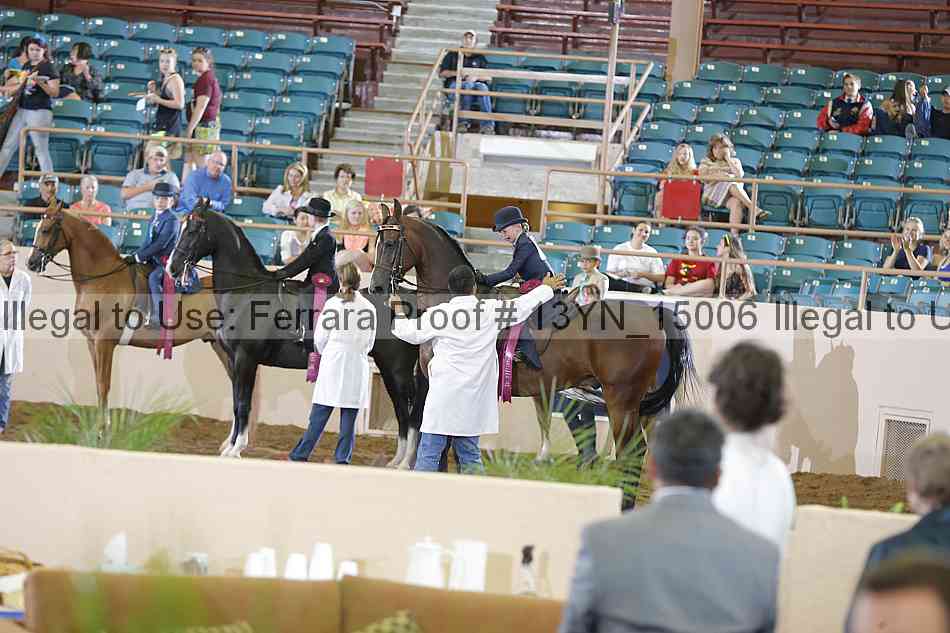 Proof 13yn_15006