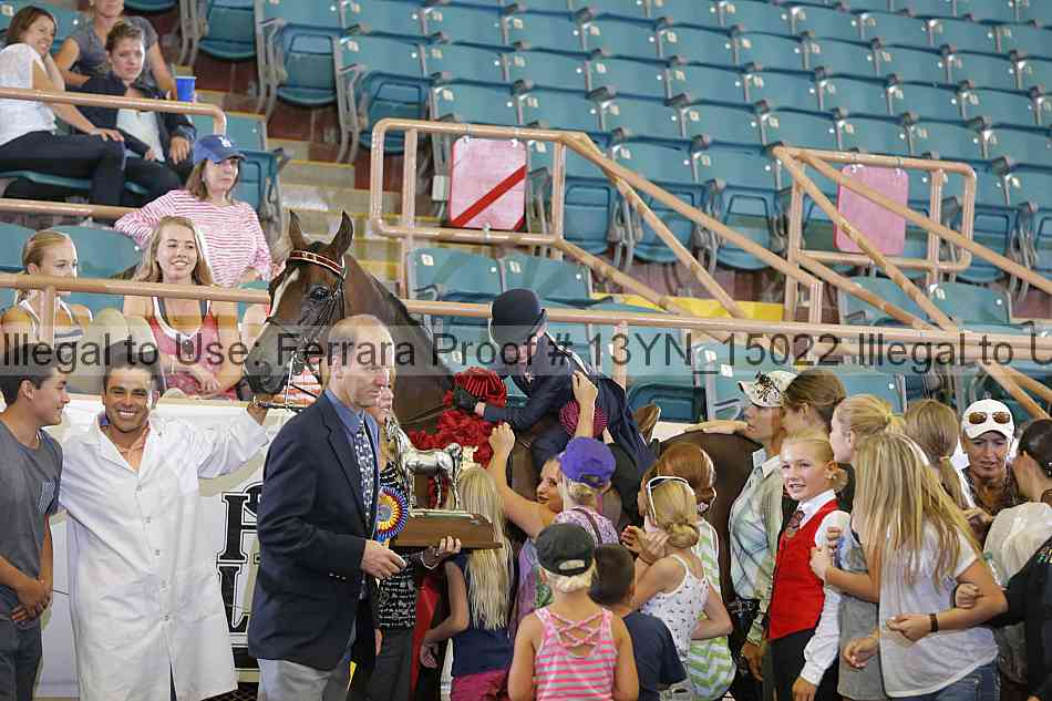 Proof 13yn_15022