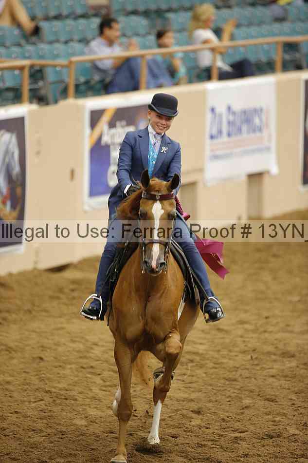 Proof 13yn_15034