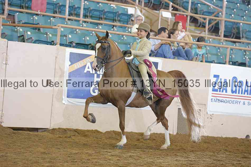 Proof 13yn_15035