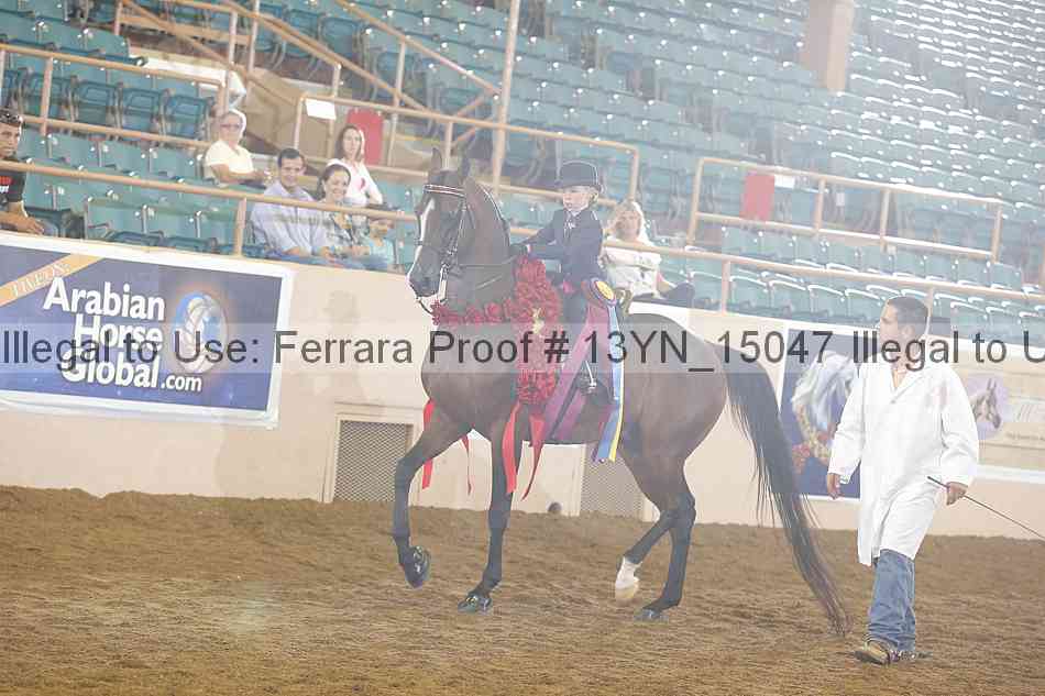 Proof 13yn_15047