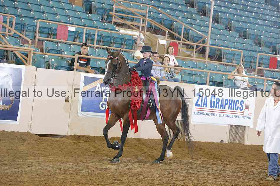 Proof 13yn_15048