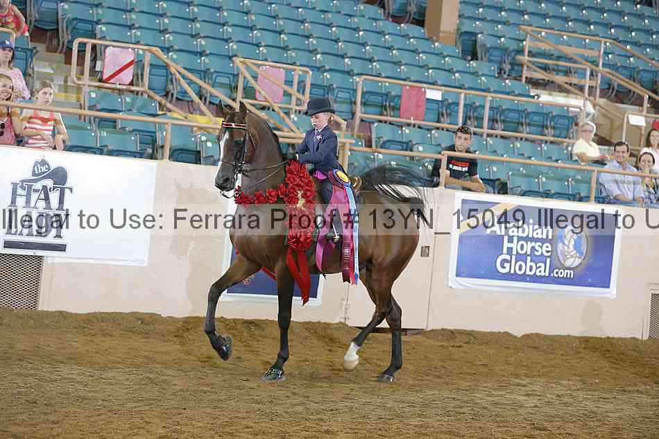 Proof 13yn_15049