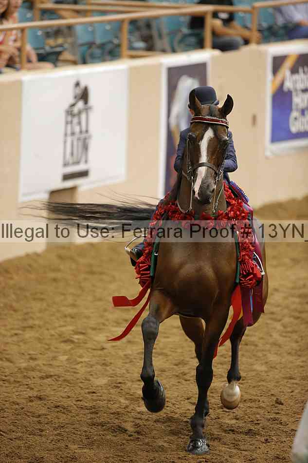 Proof 13yn_15057