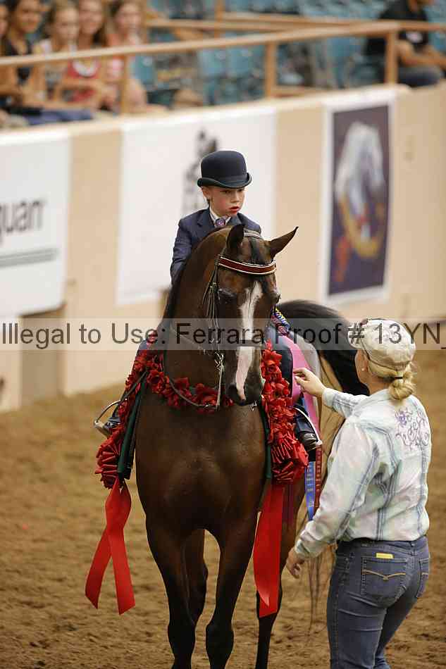 Proof 13yn_15059