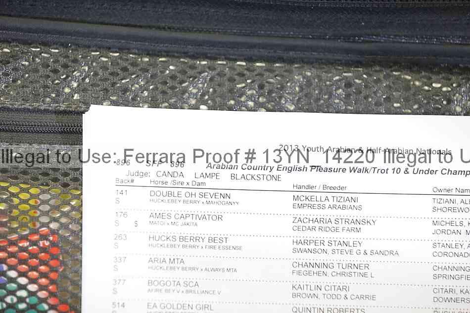 Proof 13yn_14220