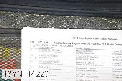 13yn_14220 proof