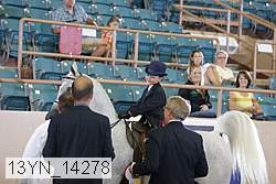 13yn_14278 proof