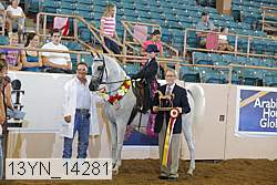 13yn_14281 proof