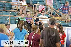 13yn_14304 proof