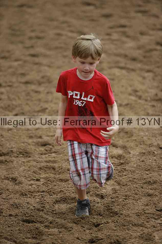Proof 13yn_14323