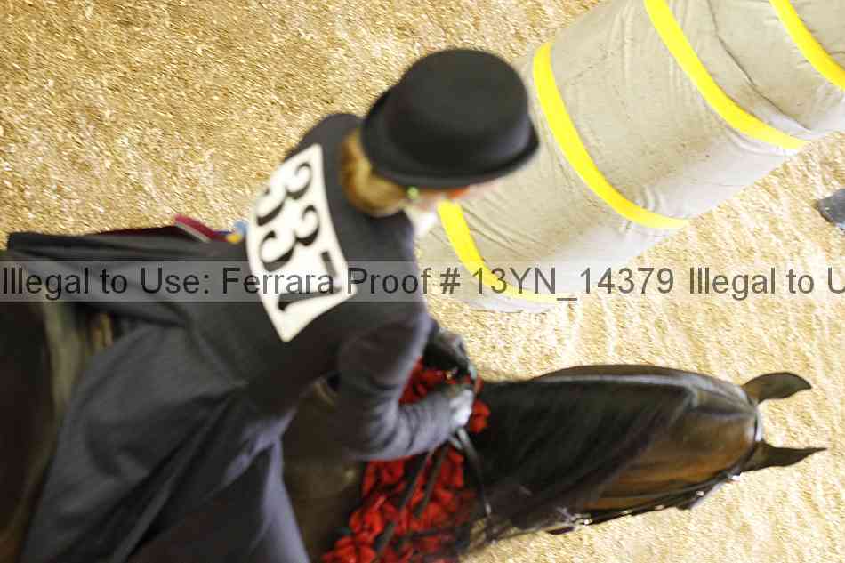 Proof 13yn_14379