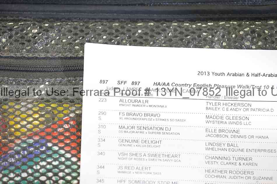 Proof 13yn_07852