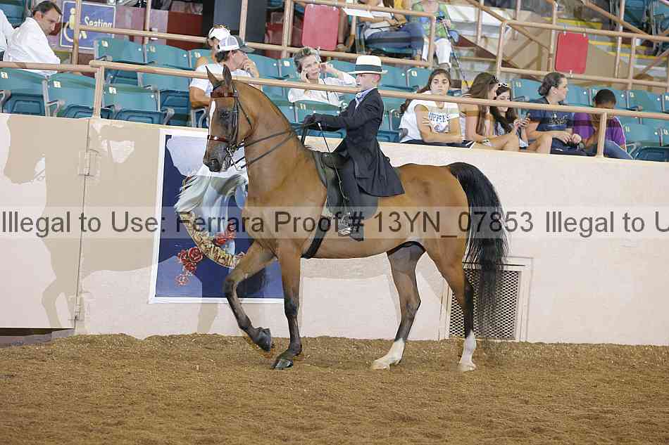 Proof 13yn_07853