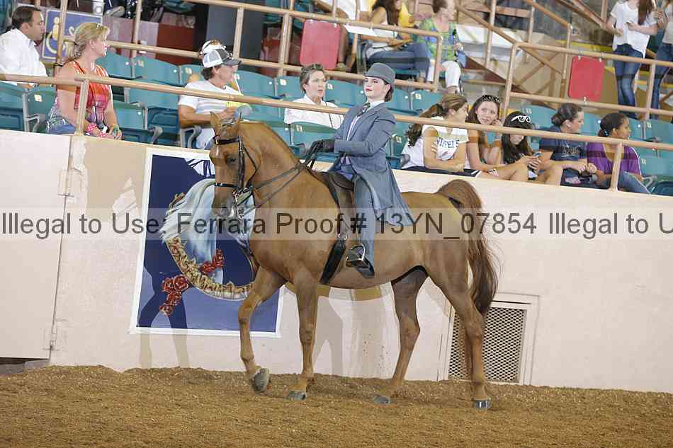 Proof 13yn_07854