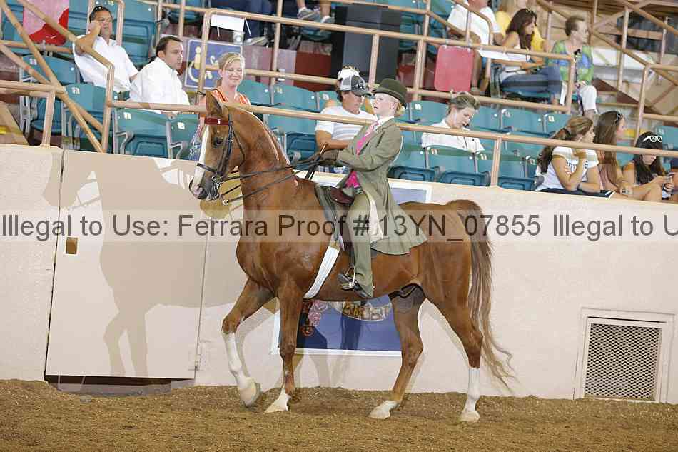 Proof 13yn_07855
