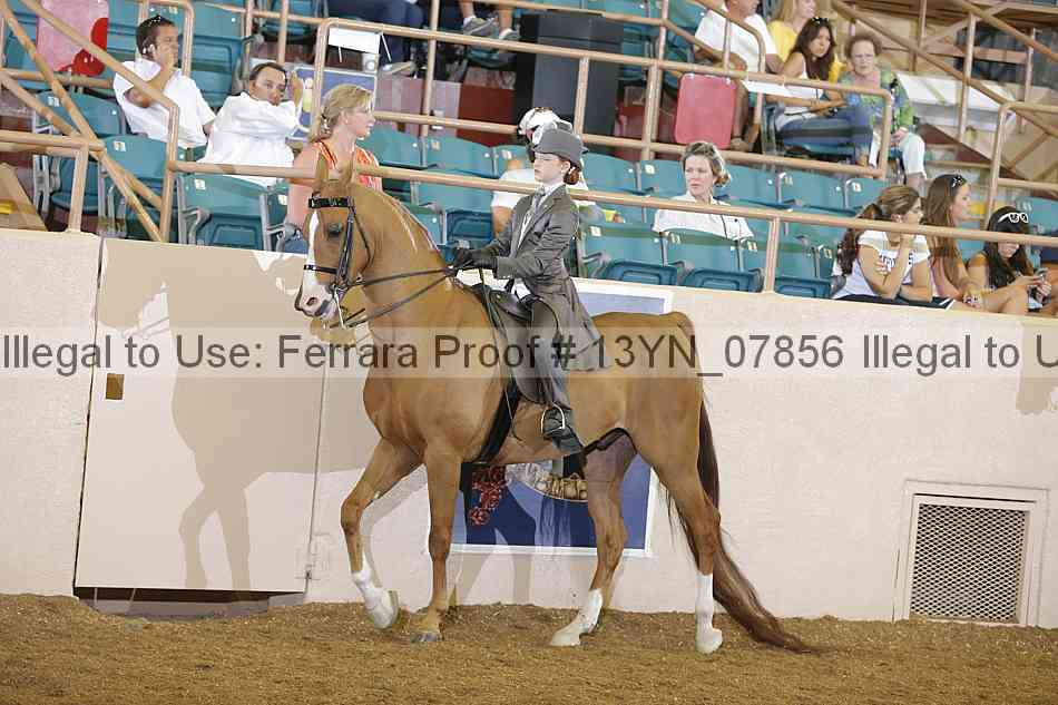 Proof 13yn_07856