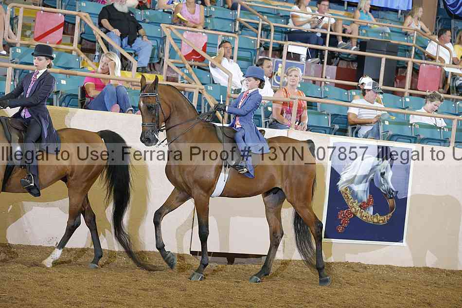 Proof 13yn_07857