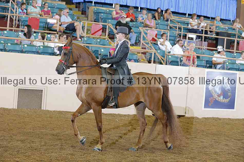 Proof 13yn_07858
