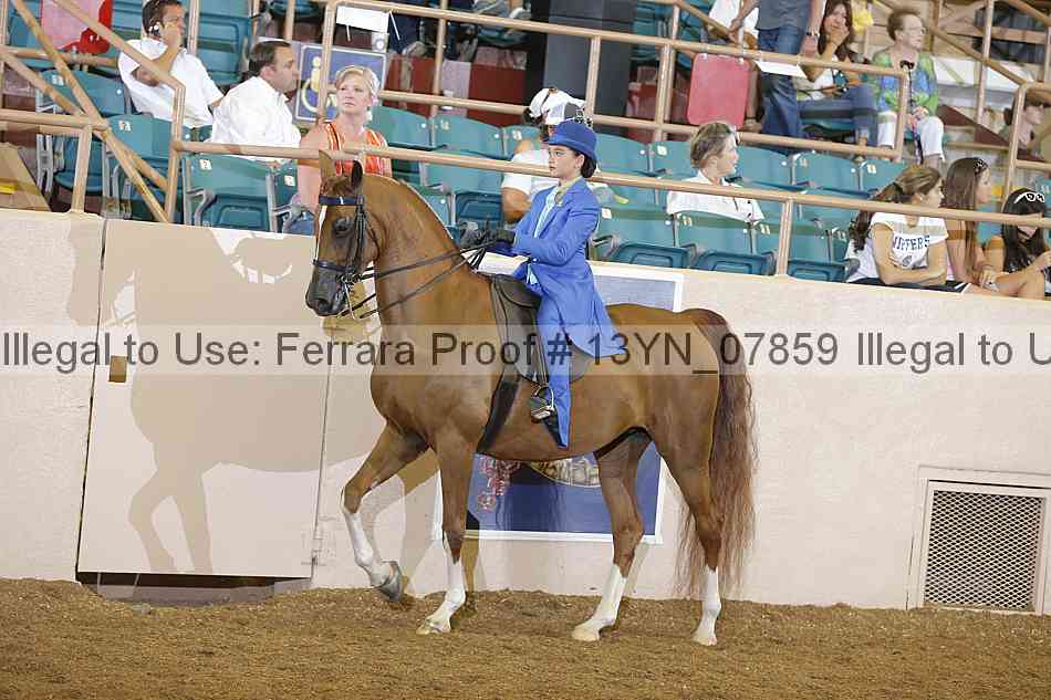 Proof 13yn_07859