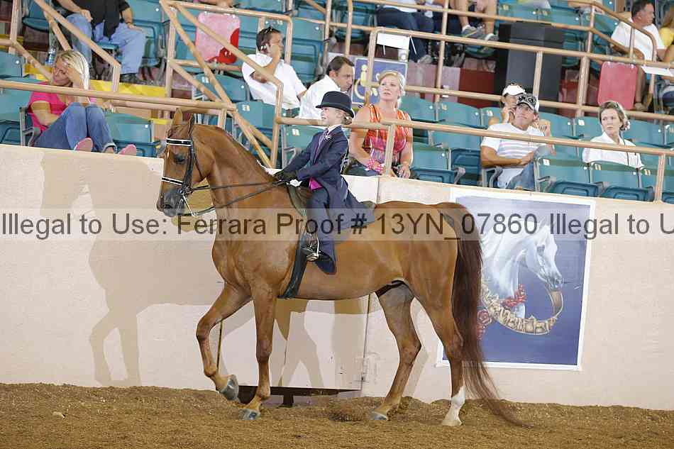Proof 13yn_07860