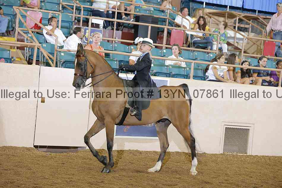 Proof 13yn_07861