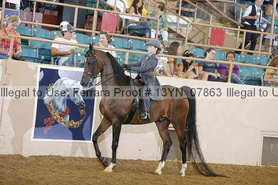 Proof 13yn_07863