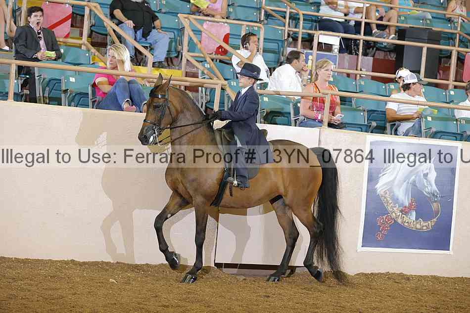 Proof 13yn_07864