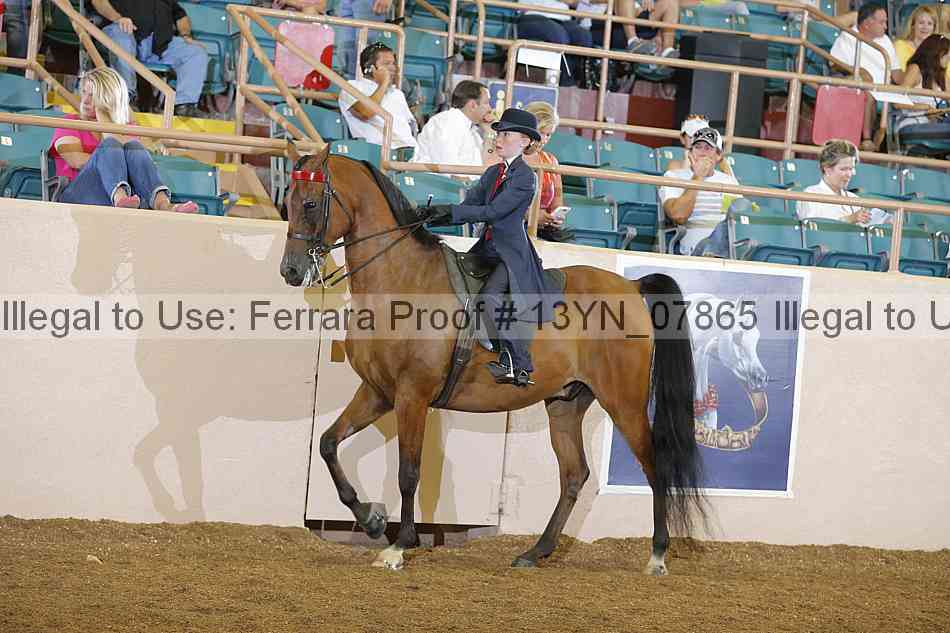 Proof 13yn_07865