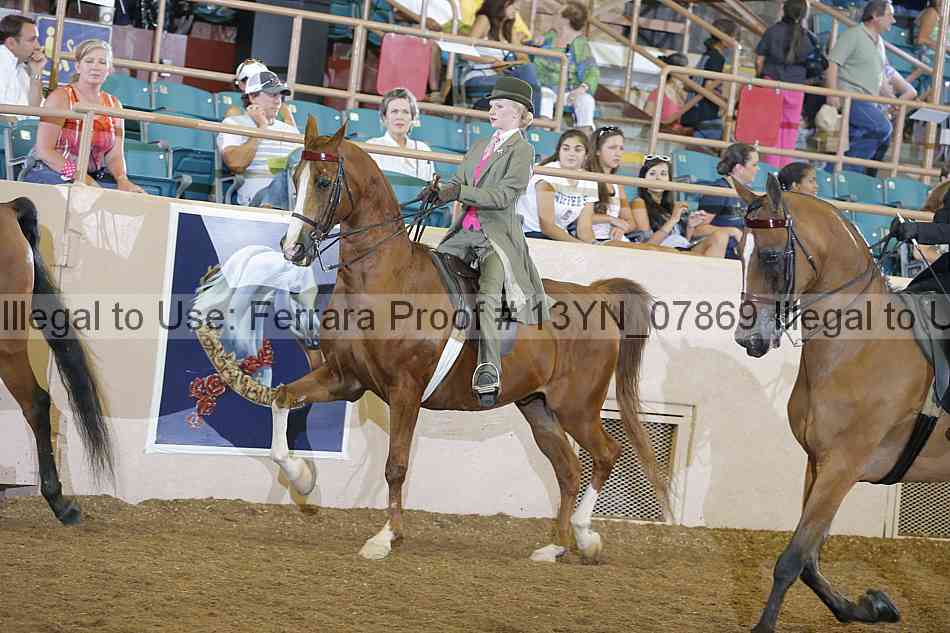 Proof 13yn_07869