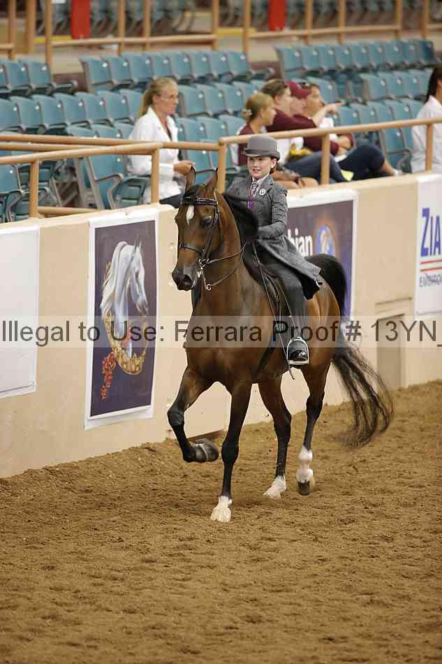 Proof 13yn_07873