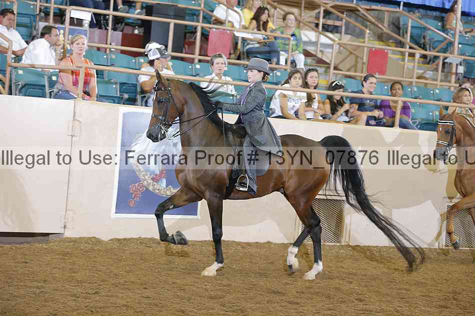 Proof 13yn_07876