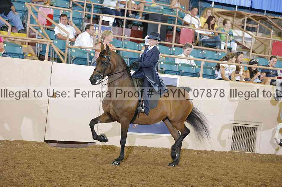Proof 13yn_07878