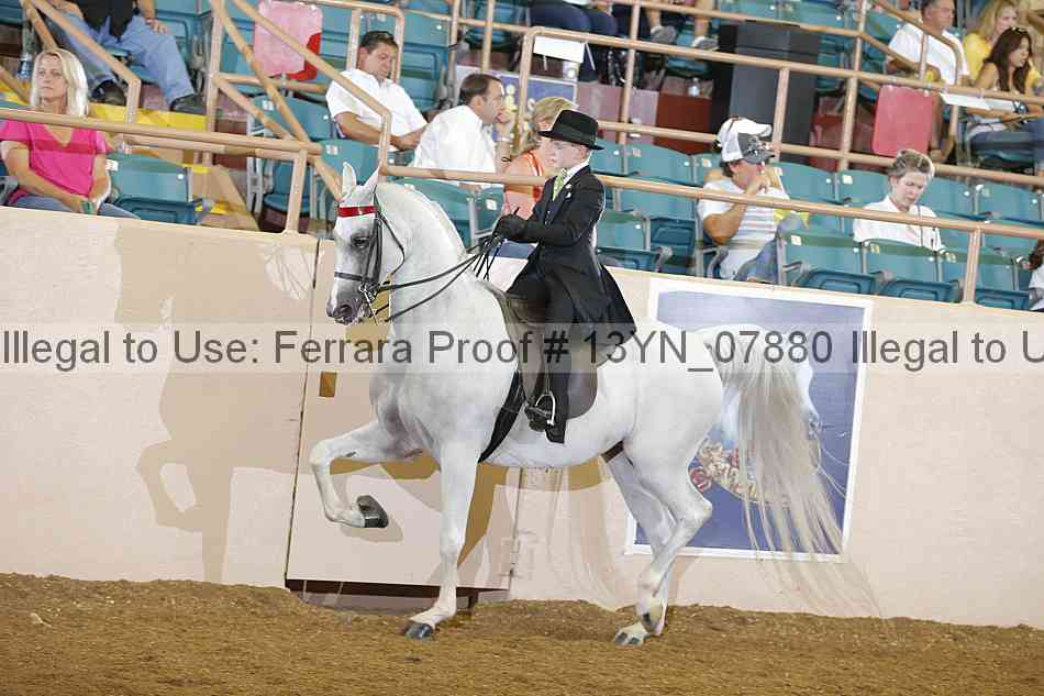 Proof 13yn_07880