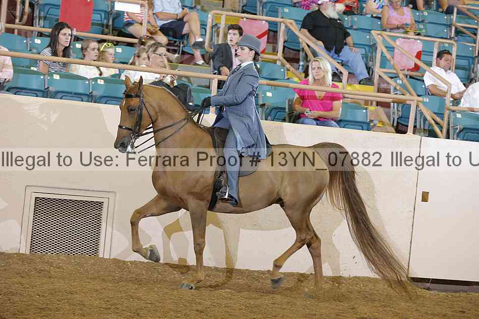 Proof 13yn_07882