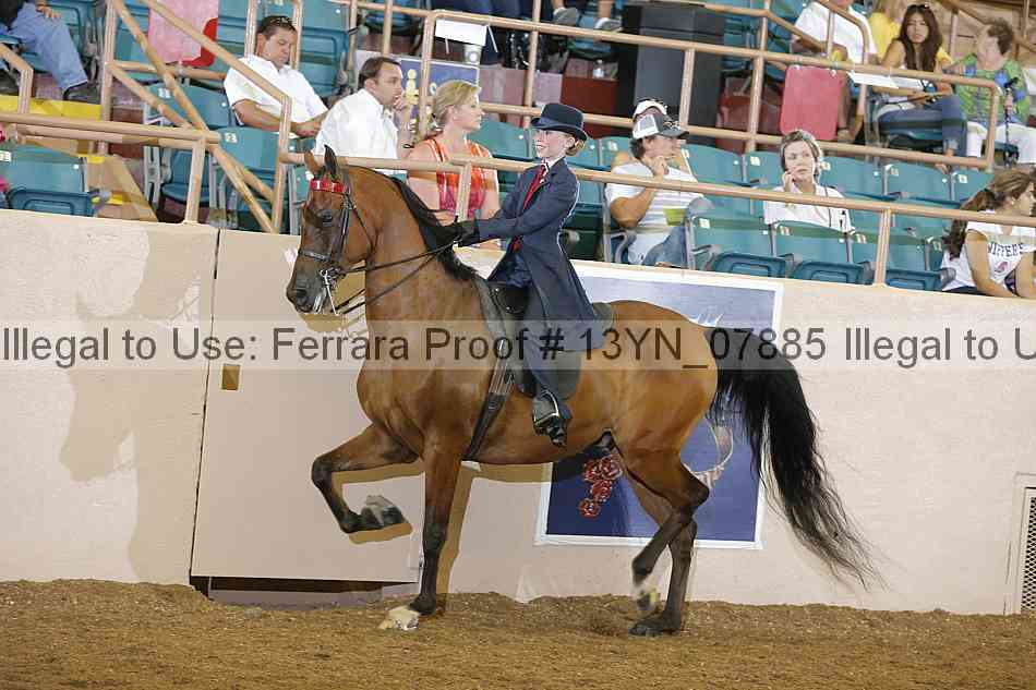 Proof 13yn_07885