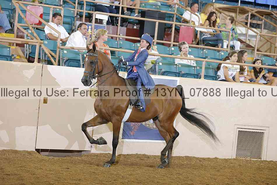 Proof 13yn_07888