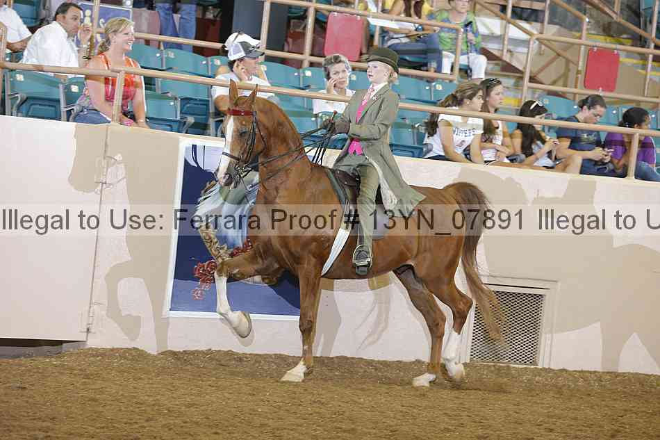Proof 13yn_07891
