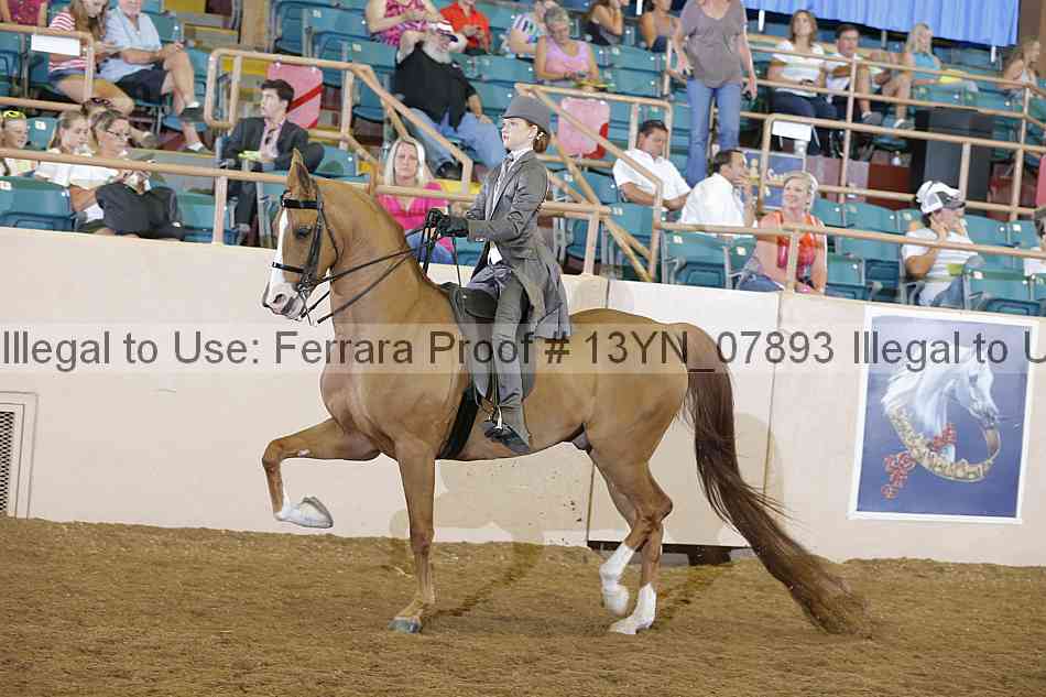 Proof 13yn_07893