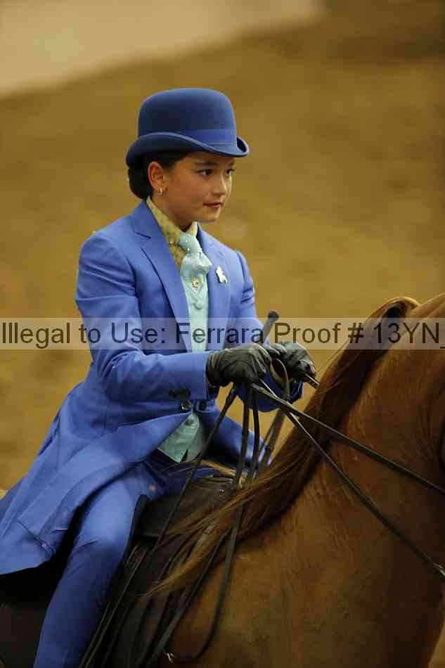 Proof 13yn_07894