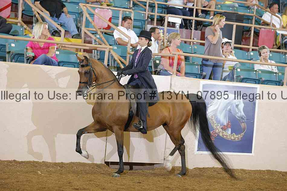Proof 13yn_07895