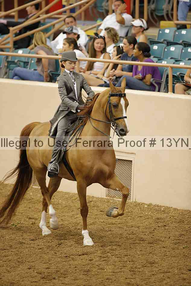 Proof 13yn_07901