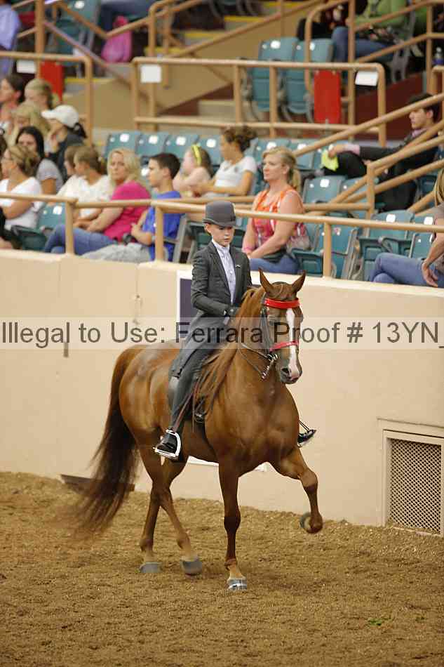 Proof 13yn_07902