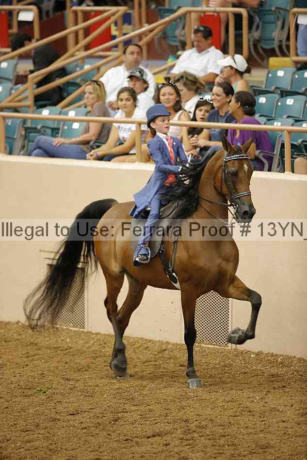 Proof 13yn_07905