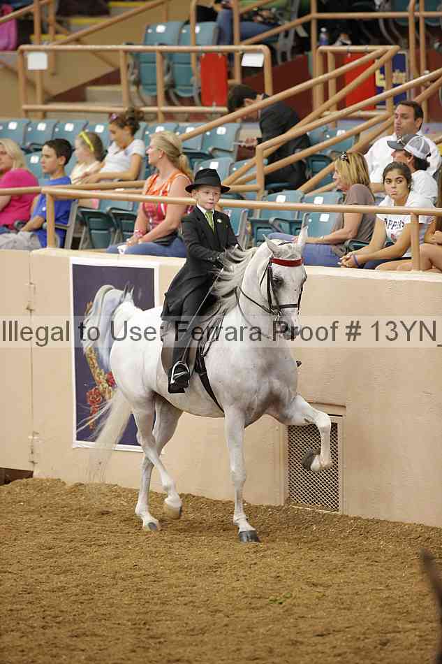 Proof 13yn_07906